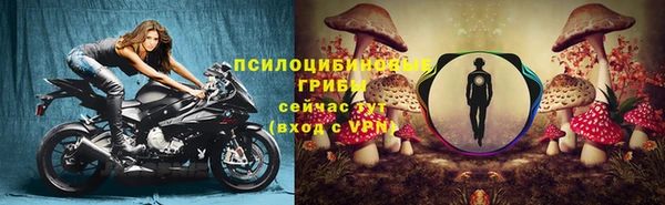дживик Абинск